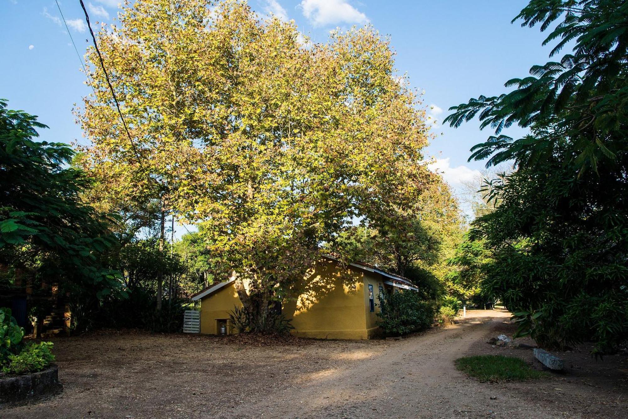 Fazenda Santa Thereza - Itapira Eksteriør billede