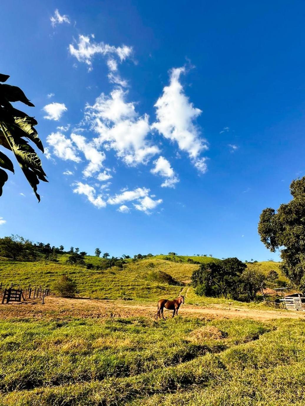 Fazenda Santa Thereza - Itapira Eksteriør billede